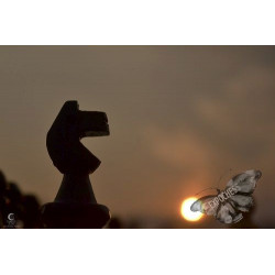 Crepúsculo Ajedrezado | Fotografía de Ajedrez - EXPOCHESS