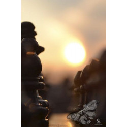 Dawn of Strategies - Artistic Chess Photography | EXPOCHESS