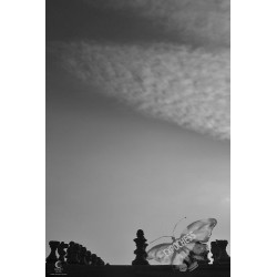 Monarchs of Thought - Artistic Chess Photography | EXPOCHESS