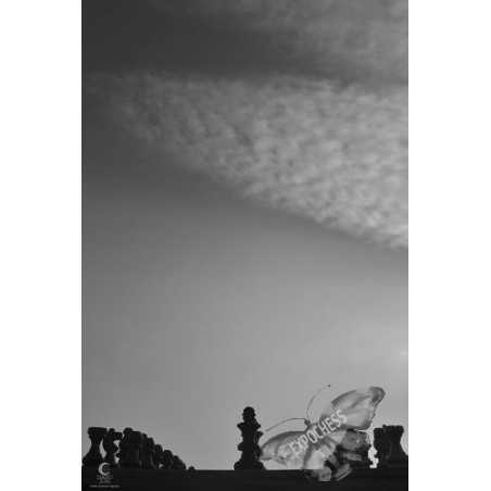 Monarchs of Thought - Artistic Chess Photography | EXPOCHESS