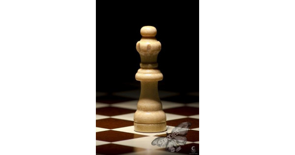 Ready for the dance - Artistic Chess Photography | EXPOCHESS