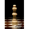 Ready for the dance - Artistic Chess Photography | EXPOCHESS