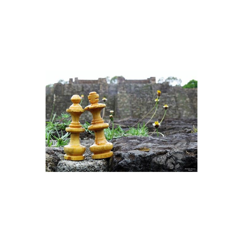 Making history - Artistic Chess Photography | EXPOCHESS