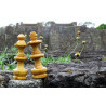Making history - Artistic Chess Photography | EXPOCHESS