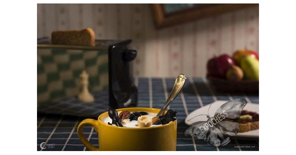 Champion food - Artistic Chess Photography | EXPOCHESS