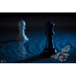 Forbidden Romance - Artistic Chess Photography | EXPOCHESS