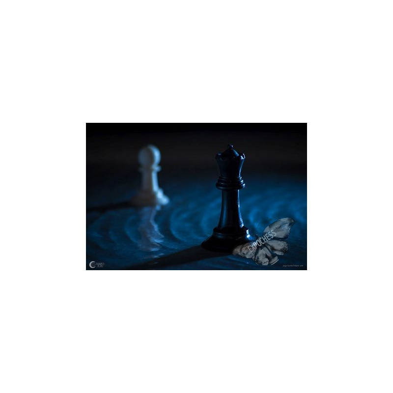 Forbidden Romance - Artistic Chess Photography | EXPOCHESS