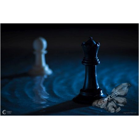 Romance prohibido | Fotografía de Ajedrez - EXPOCHESS