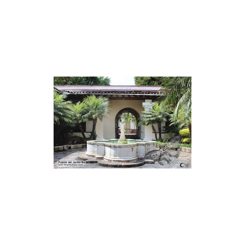 Fountain, Borda Garden - Artistic Chess Photography | EXPOCHESS