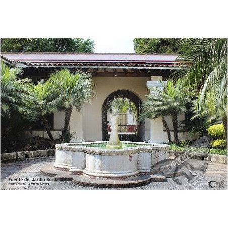 Fountain, Borda Garden - Artistic Chess Photography | EXPOCHESS