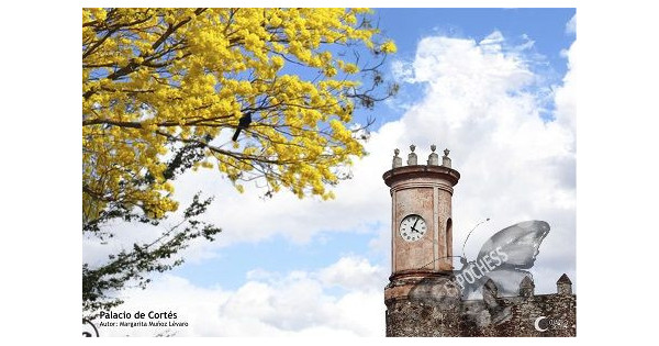 Palace of Cortes - Artistic Chess Photography | EXPOCHESS