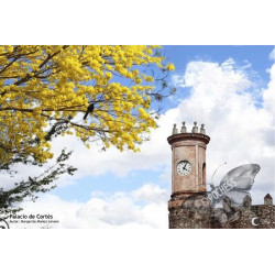 Palace of Cortes - Artistic Chess Photography | EXPOCHESS