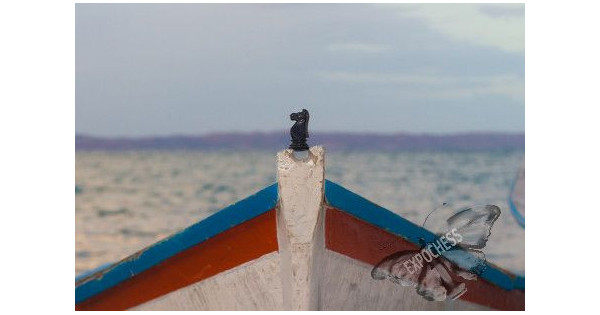 Fisherman Horse - Artistic Chess Photography | EXPOCHESS