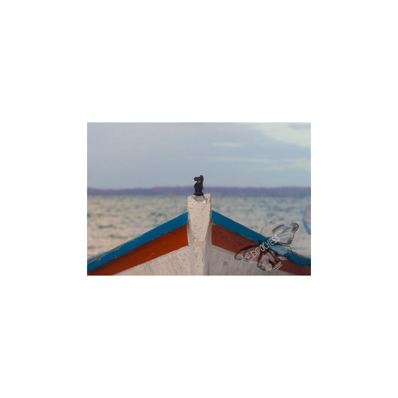 Caballo Pescador | Fotografía de Ajedrez - EXPOCHESS