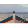 Fisherman Horse - Artistic Chess Photography | EXPOCHESS
