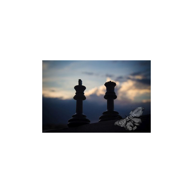 Contraluz de Poder | Fotografía de Ajedrez - EXPOCHESS