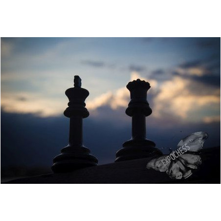 Contraluz de Poder | Fotografía de Ajedrez - EXPOCHESS