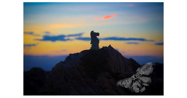 All pieces can be key - Artistic Chess Photography | EXPOCHESS