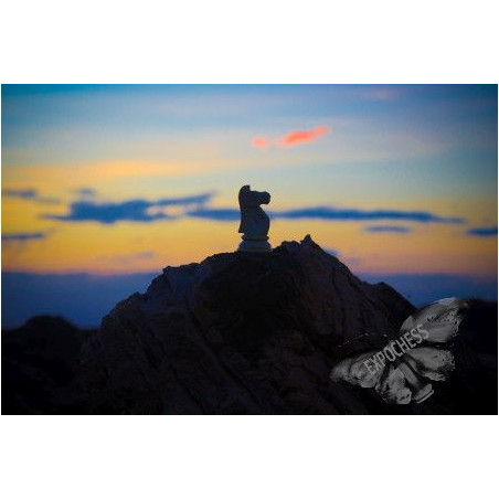 All pieces can be key - Artistic Chess Photography | EXPOCHESS