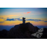 All pieces can be key - Artistic Chess Photography | EXPOCHESS