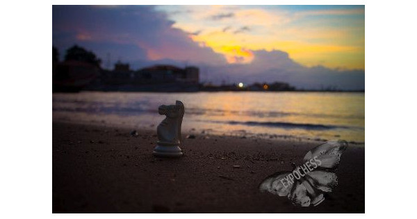 Reflexión al Ocaso | Fotografía de Ajedrez - EXPOCHESS
