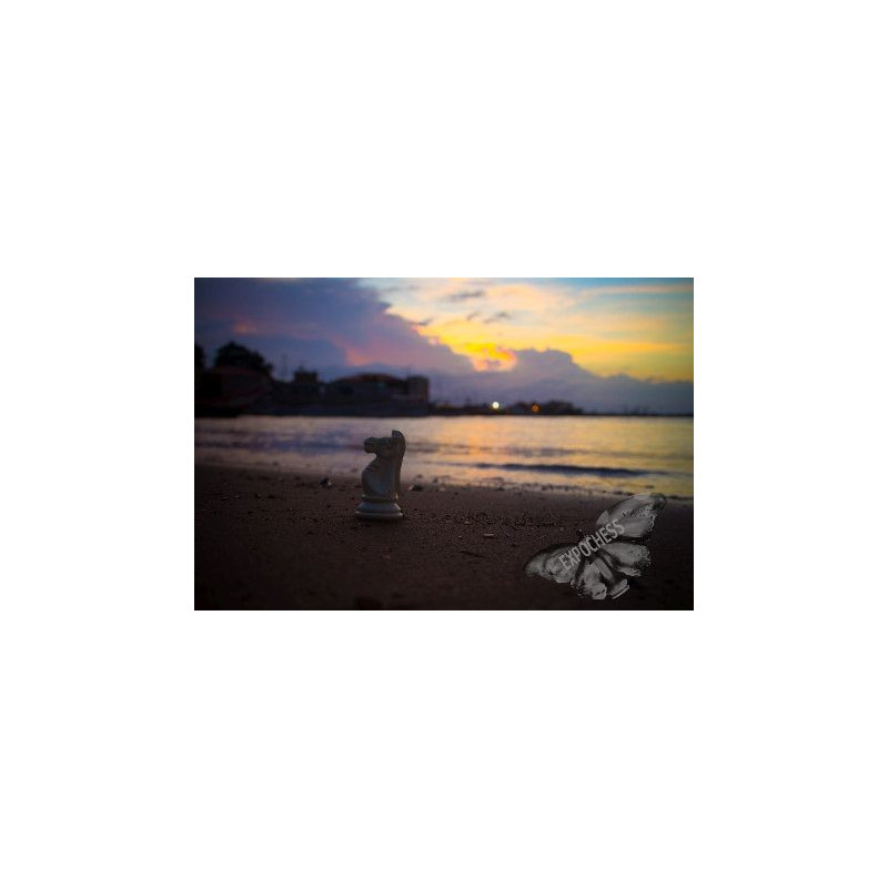 Reflexión al Ocaso | Fotografía de Ajedrez - EXPOCHESS