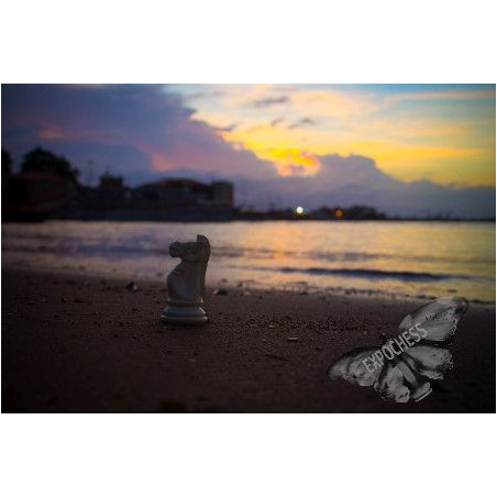 Reflexión al Ocaso | Fotografía de Ajedrez - EXPOCHESS
