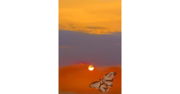 Checkmate the Sun - Artistic Chess Photography | EXPOCHESS