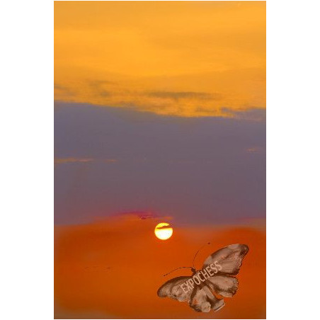 Checkmate the Sun - Artistic Chess Photography | EXPOCHESS