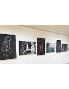 Colección de Arte Fotográfico 2014-2015: Colectivo Cuarto de Luna