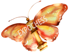 Logo EXPOCHESS
        2025